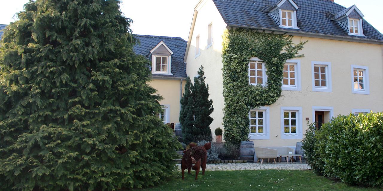 Wein- & Tafelhaus Hotell Trittenheim Eksteriør bilde